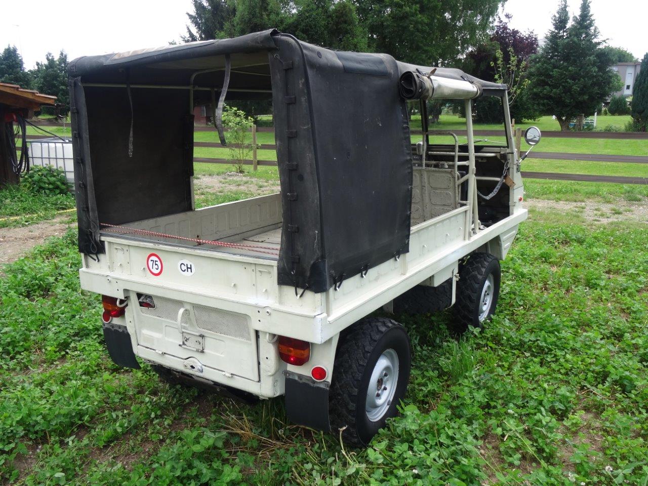 Seltene zivile Haflinger Version II
Softtop mit f ..