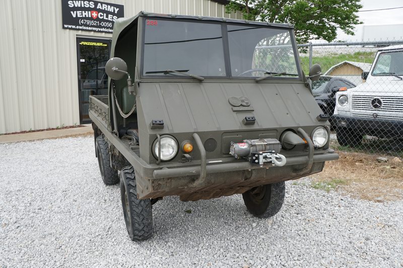 Schweizer Armee Haflinger in gutem Gesamtzustand. Wa ...