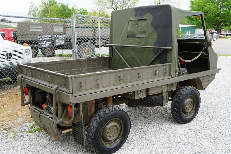 Schweizer Armee Haflinger in gutem Gesamtzustand. Wa ...